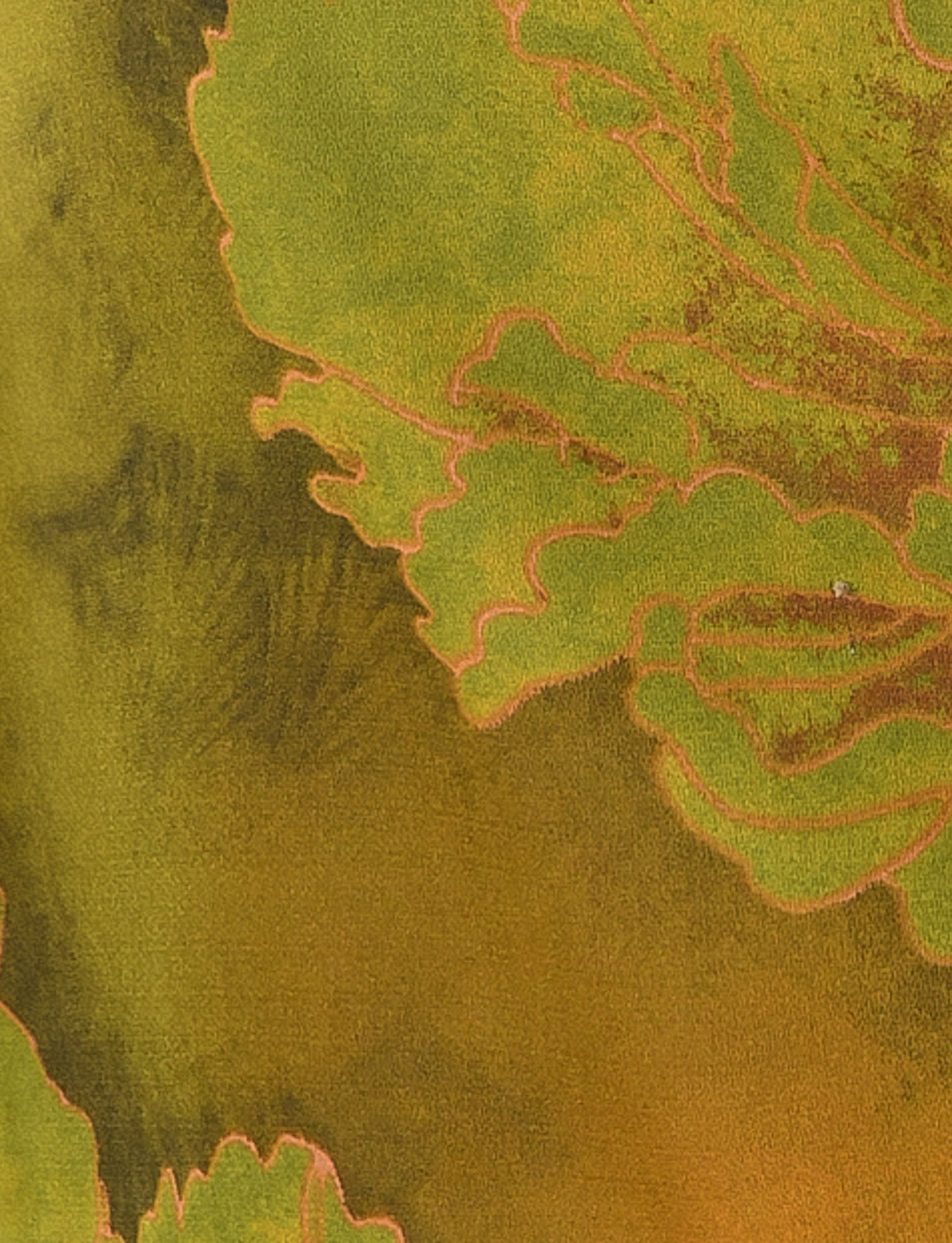 Close-up image of the MONROE TOP - GREEN: FLORAL by TIGERMIST showcasing intricate, vein-like patterns in varying shades of green and yellow. The top's edges, reminiscent of a floral watercolor print, are highlighted in a reddish-pink color, contrasting with the more muted background. The image captures the natural detail and texture of the fabric.