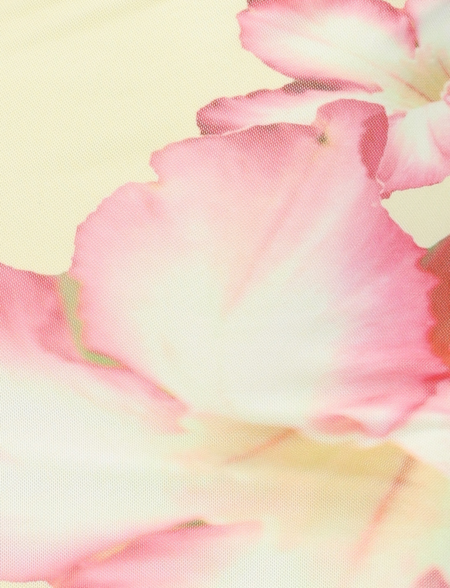Close-up of a soft pink and white petal with a pale yellow background, reflecting the airy gradients and floral vibe of the TIGERMIST NYOMI MAXI DRESS in Yellow Hibiscus Macro Floral print.