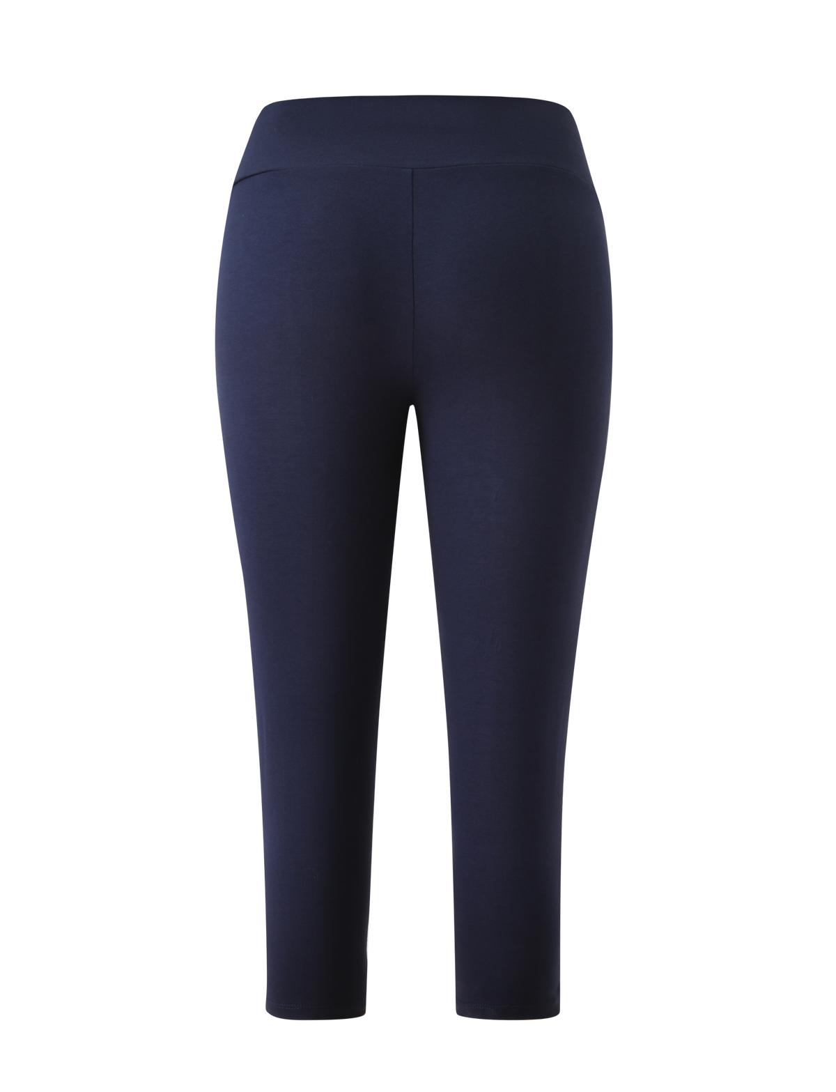 The TIGERMIST TATUM CAPRI - NAVY STRIPE features a high-waisted, ankle-length fit and a flattering V-front waistband, shown from the back against a white background.