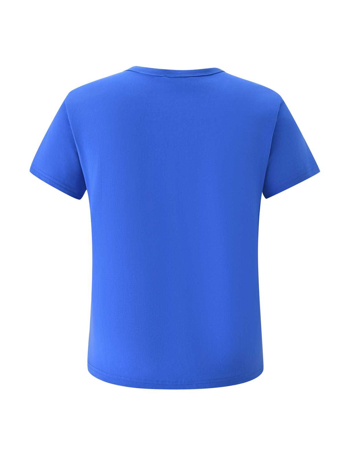 The TIGERMIST BLESSED BABY TEE in blue, a vintage relaxed-fit short-sleeve top, is shown from the back against a white background.
