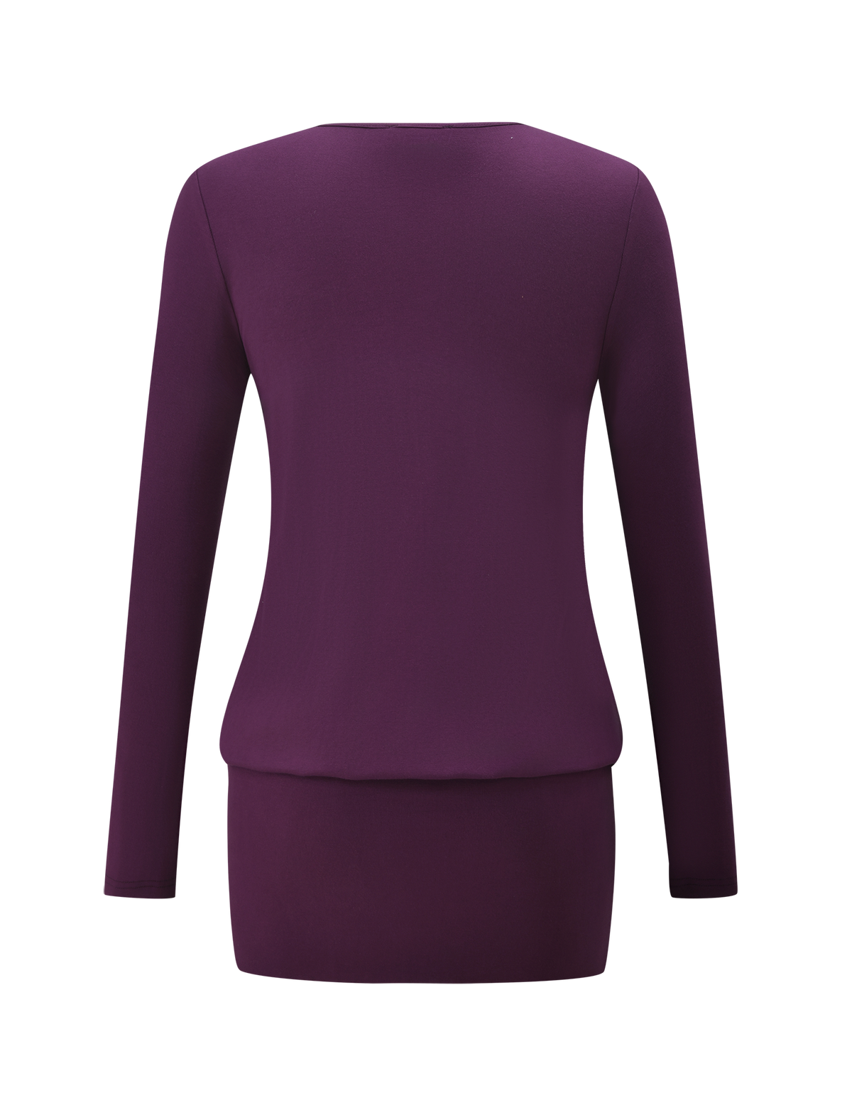 Tiger Mist Foxley Mini Dress in Plum, back view