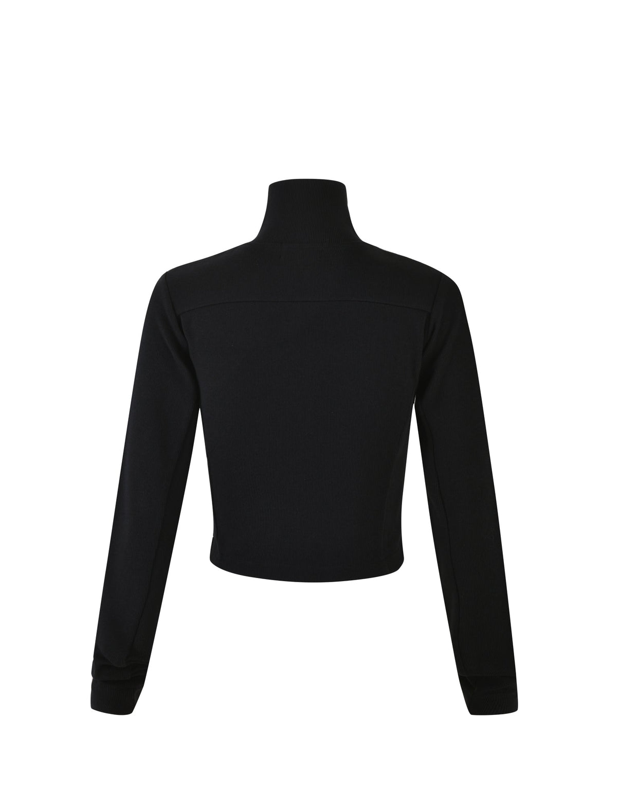 The VERDA JACKET - BLACK, a black, long-sleeve, mock neck cropped jacket from TIGERMIST, is showcased on a plain white background. This sleek design features simple lines and a fitted cut, with the image highlighting the back view.