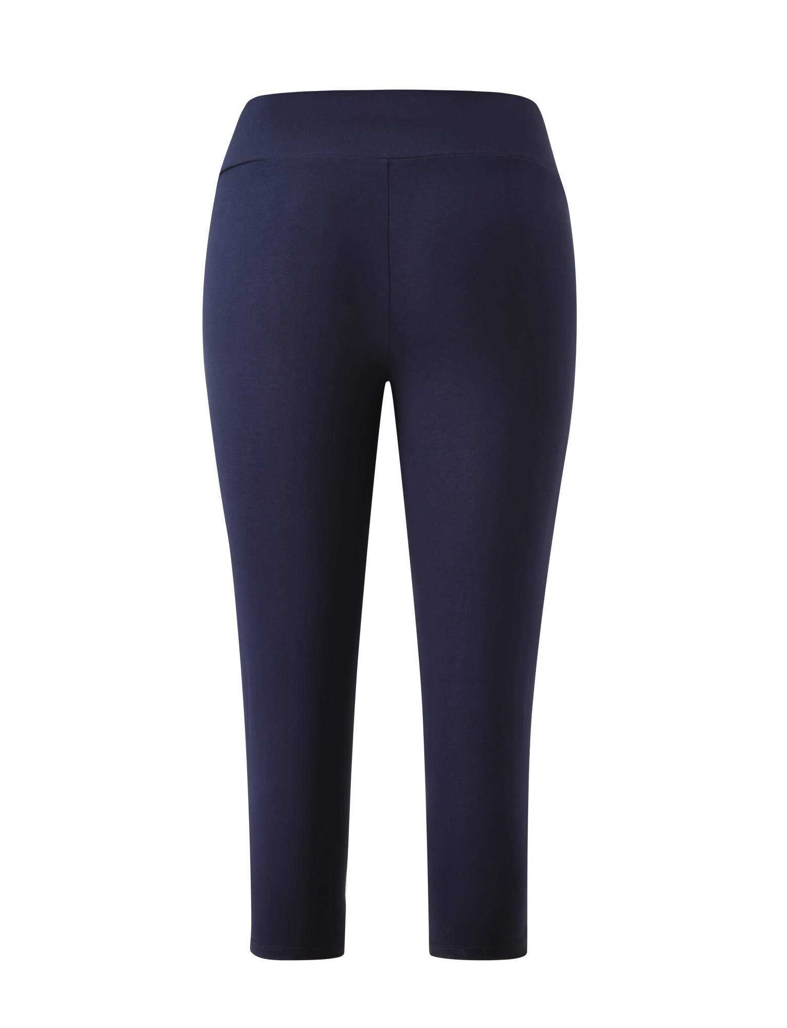The TIGERMIST TATUM CAPRI - NAVY STRIPE features a high-waisted, ankle-length fit and a flattering V-front waistband, shown from the back against a white background.