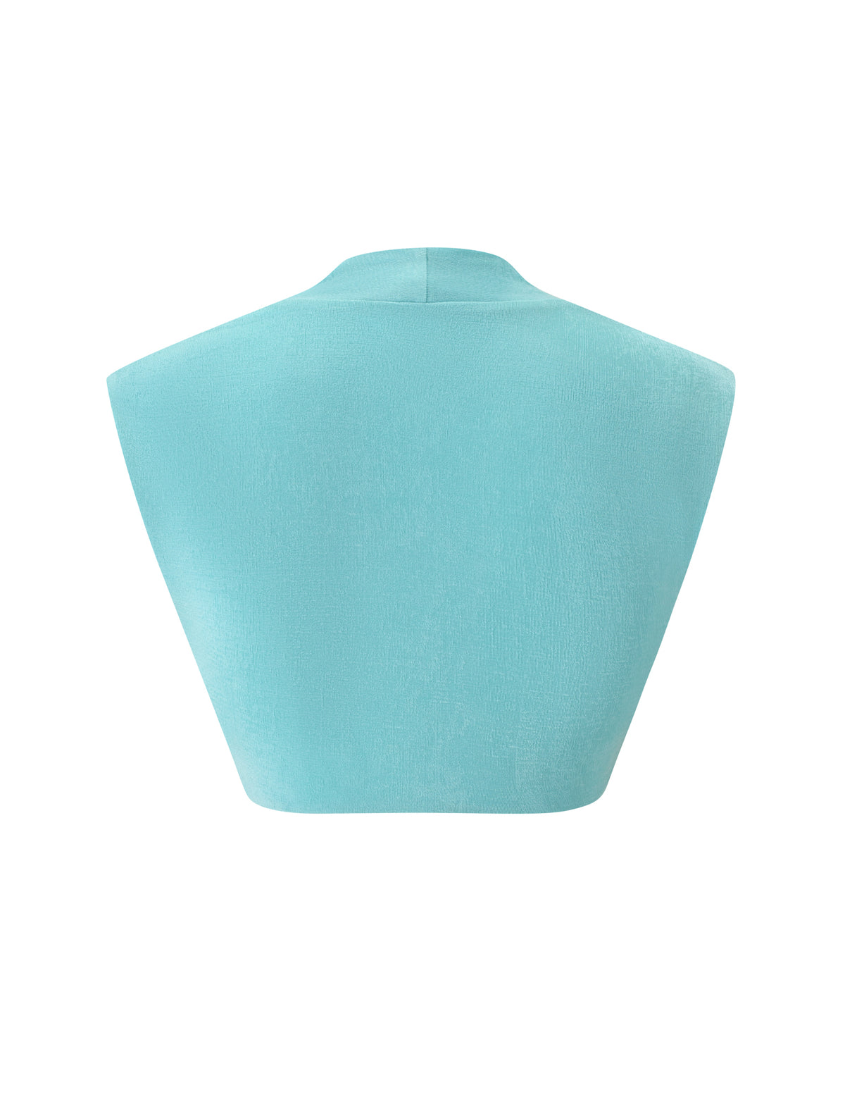 Back view of the RAE TOP - AQUA, a light blue sparkle knit cropped top with a high collar.